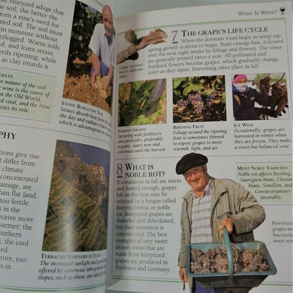 Wine 101 Essential Tips DK Books 2003 Color Paperback - Picture 7 of 7